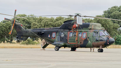 S-444 - Netherlands - Air Force Aerospatiale AS532 Cougar