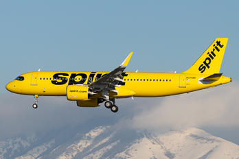 N975NK - Spirit Airlines Airbus A320 NEO