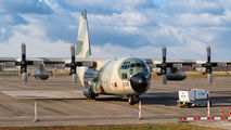 503 - Oman - Air Force Lockheed C-130H Hercules aircraft