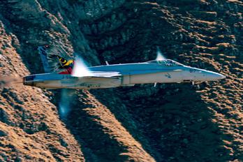 J-5017 - Switzerland - Air Force McDonnell Douglas F/A-18C Hornet