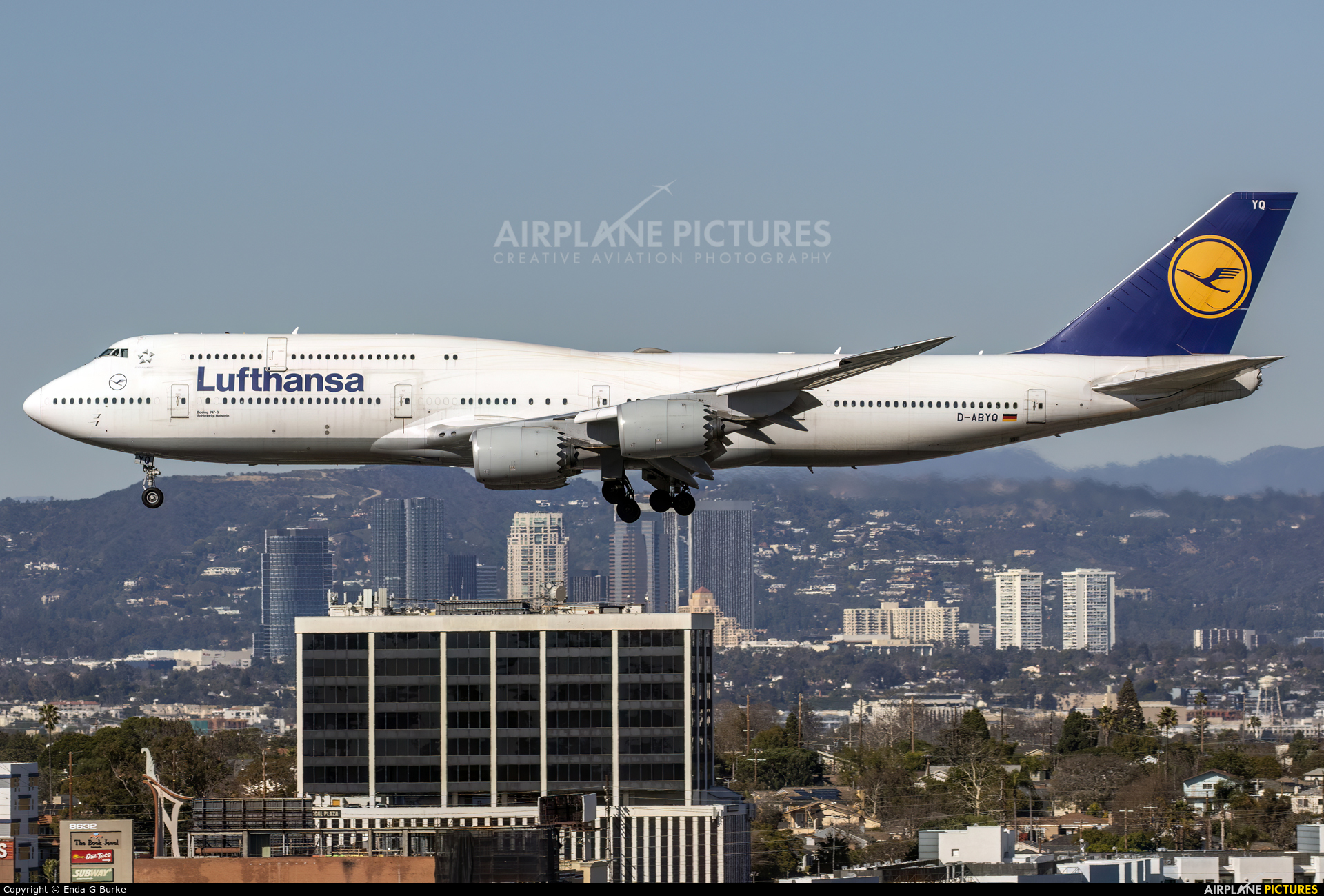 Lufthansa D-ABYQ aircraft at Los Angeles Intl