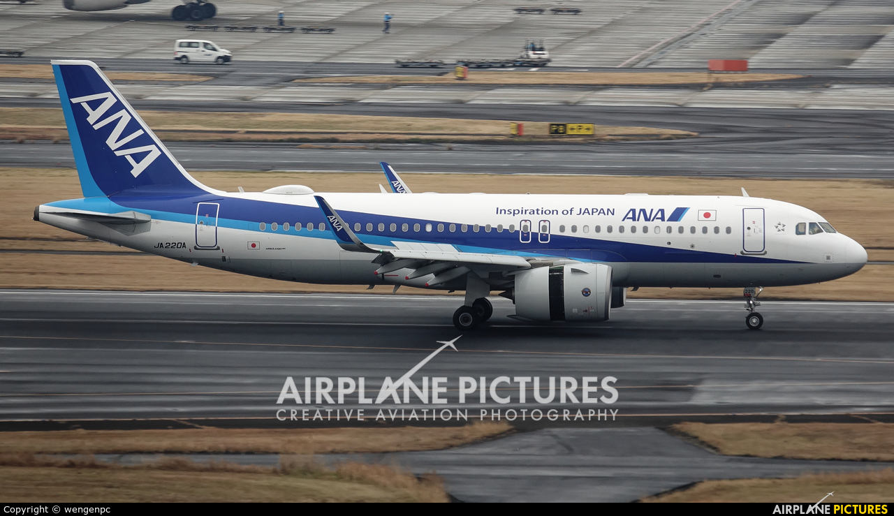 ANA - All Nippon Airways JA220A aircraft at Tokyo - Haneda Intl