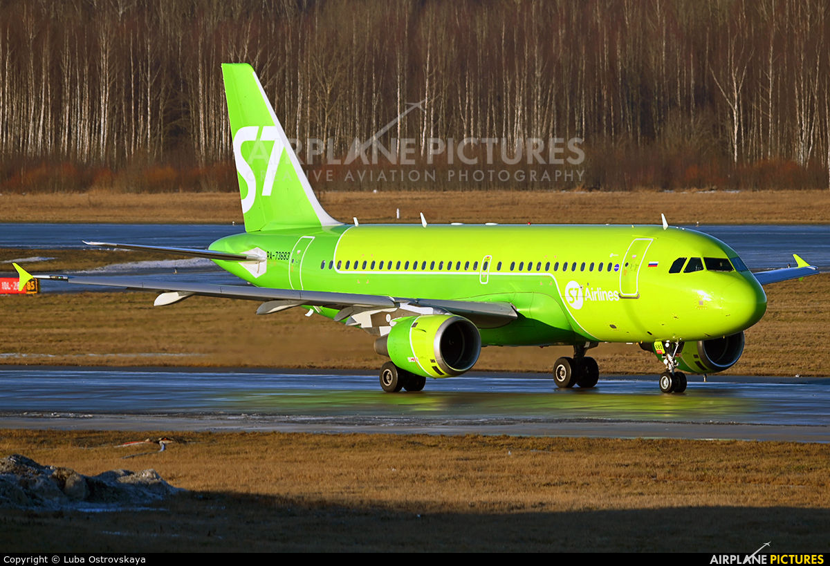 S7 Airlines RA-73683 aircraft at St. Petersburg - Pulkovo