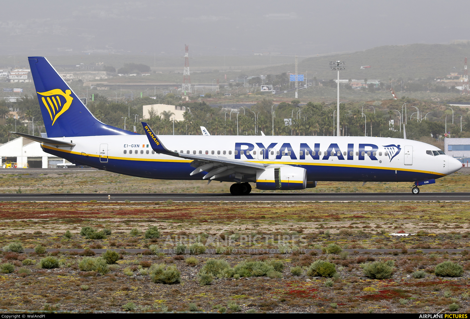 Ryanair EI-GXN aircraft at Tenerife Sur - Reina Sofia