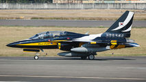10-0055 - Korea (South) - Air Force: Black Eagles Korean Aerospace T-50 Golden Eagle aircraft