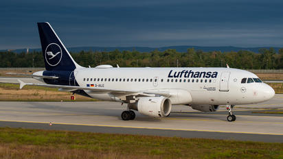 D-AILE - Lufthansa Airbus A319