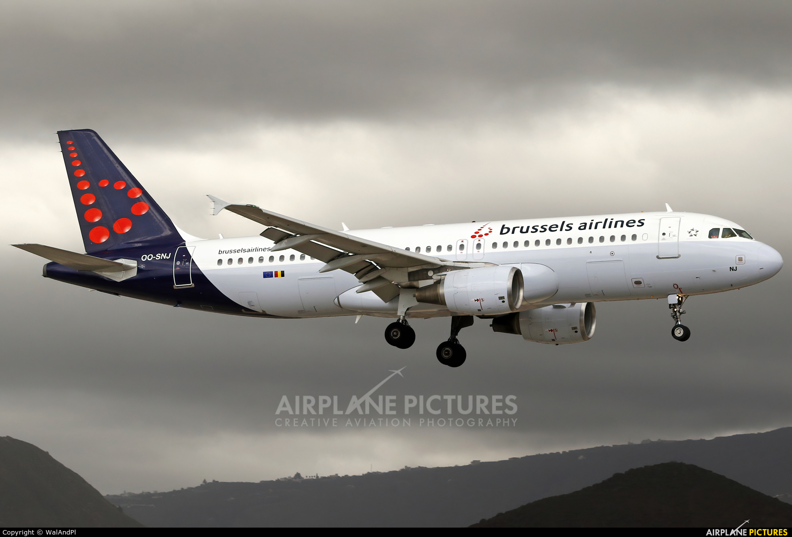 Brussels Airlines OO-SNJ aircraft at Tenerife Sur - Reina Sofia
