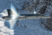 J-5018 - Switzerland - Air Force McDonnell Douglas F/A-18C Hornet aircraft