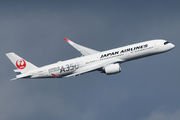 JAL - Japan Airlines JA07XJ image