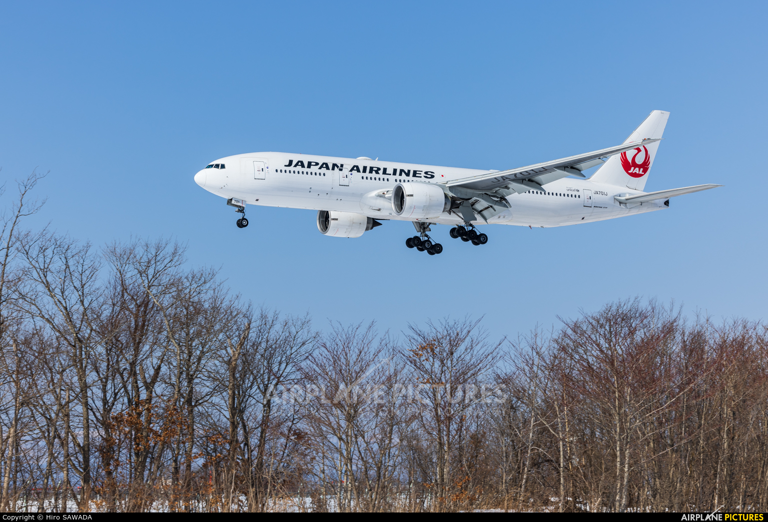 JAL - Japan Airlines JA701J aircraft at New Chitose