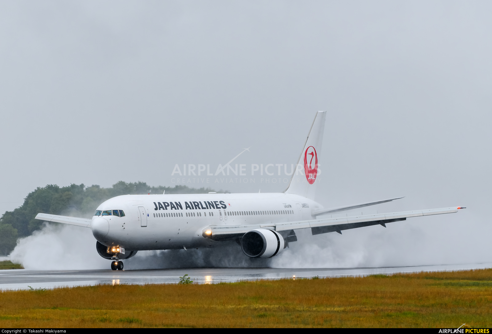 JAL - Japan Airlines JA653J aircraft at Takamatsu