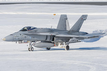 HN-450 - Finland - Air Force McDonnell Douglas F-18C Hornet