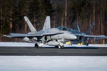 HN-428 - Finland - Air Force McDonnell Douglas F-18C Hornet