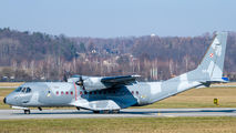 Poland - Air Force 024 image