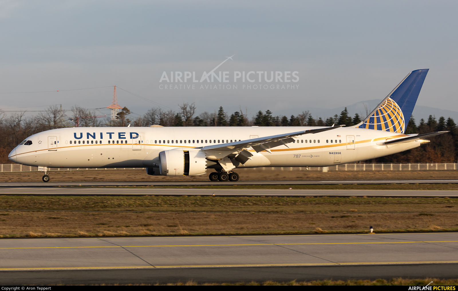 United Airlines N45956 aircraft at Frankfurt