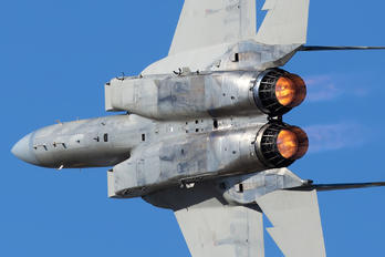 213 - Saudi Arabia - Air Force McDonnell Douglas F-15C Eagle