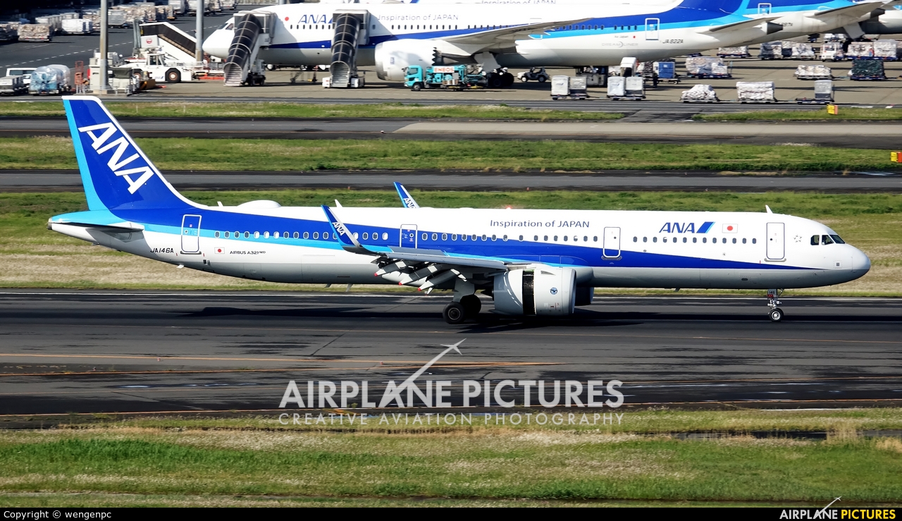 ANA - All Nippon Airways JA146A aircraft at Tokyo - Haneda Intl