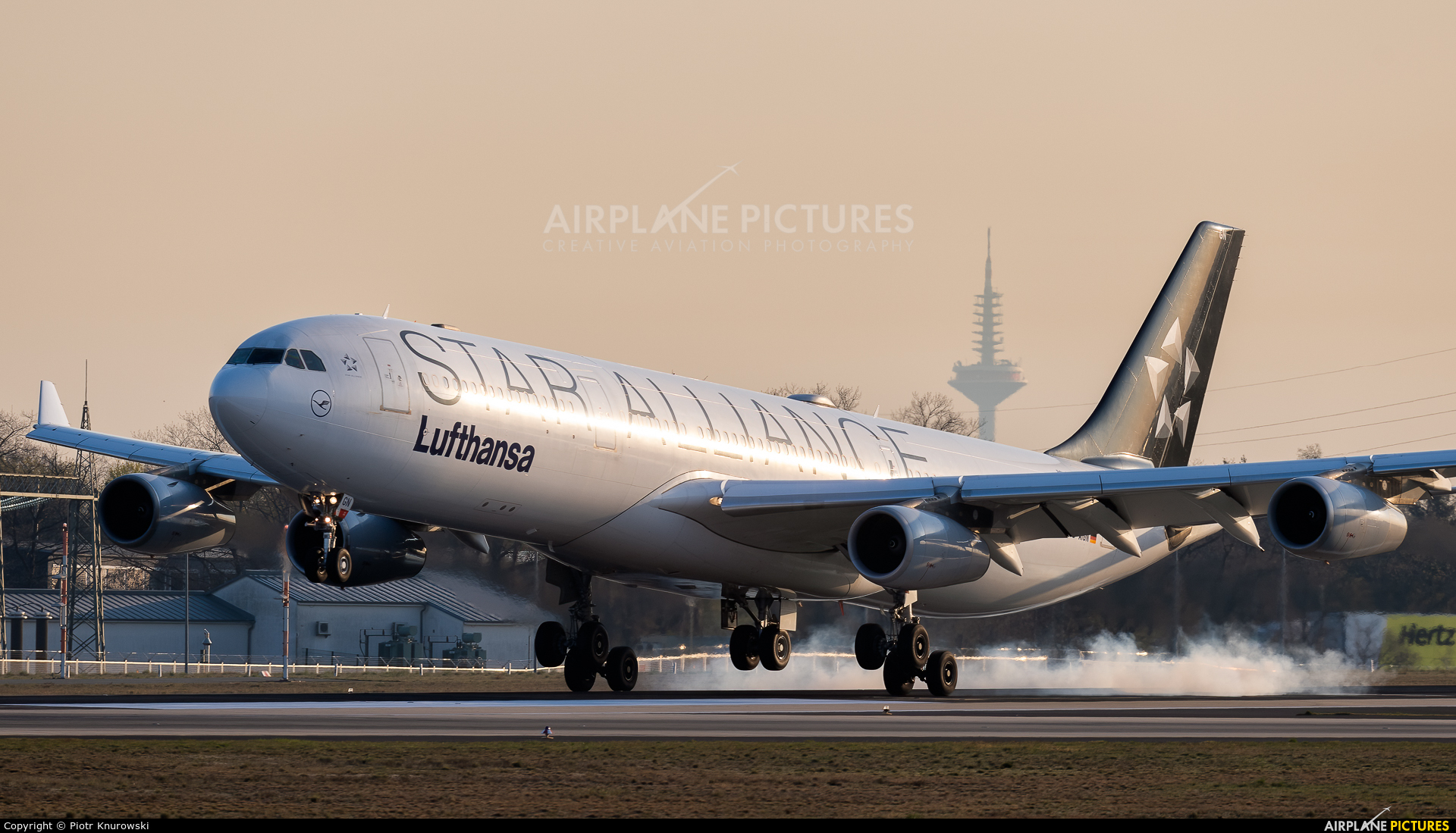 Lufthansa D-AIGN aircraft at Frankfurt