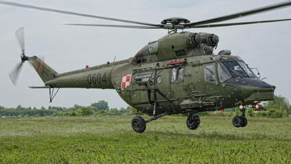 0604 - Poland - Army PZL W-3 Sokół