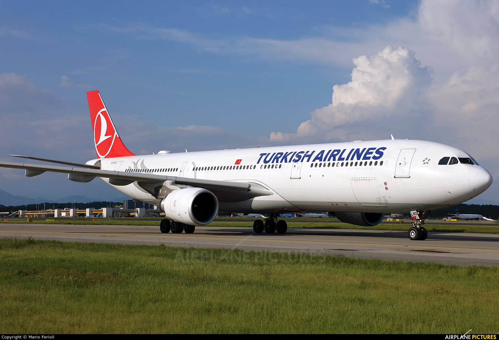 Turkish Airlines TC-LND aircraft at Milan - Malpensa