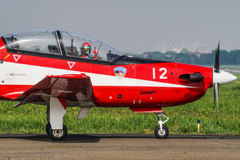LL-0112 - Indonesia - Air Force Korean Aerospace KTX-1 Woong-Bee