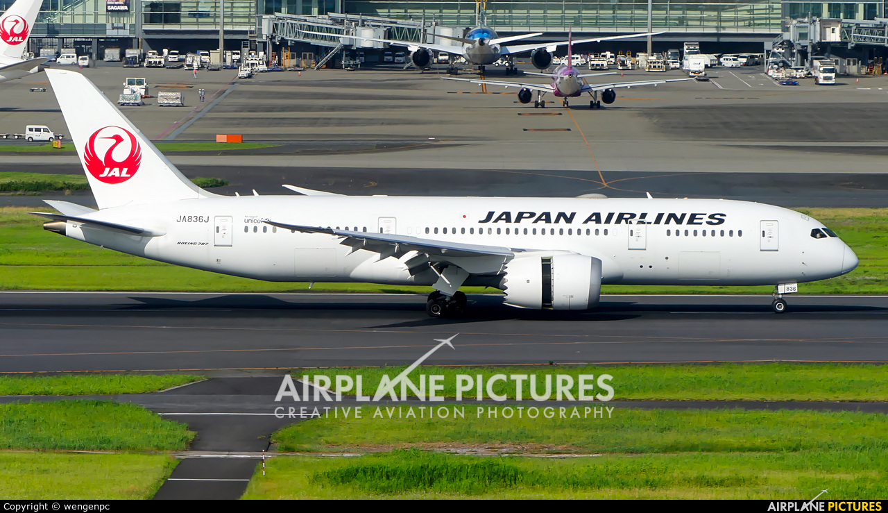 JAL - Japan Airlines JA836J aircraft at Tokyo - Haneda Intl