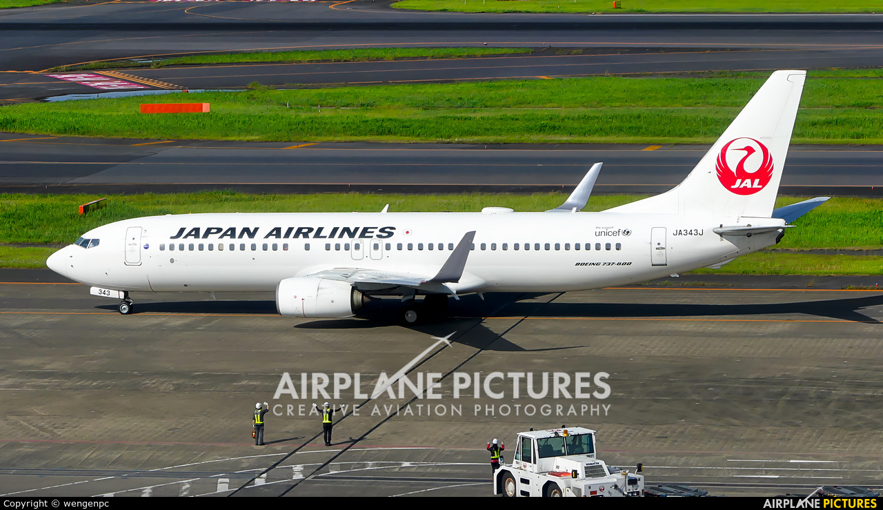 JAL - Japan Airlines JA343J aircraft at Tokyo - Haneda Intl