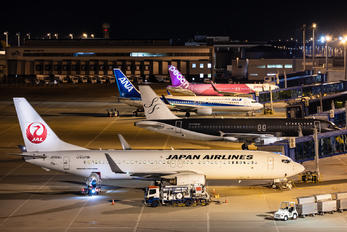 JA304J - JAL - Japan Airlines Boeing 737-800