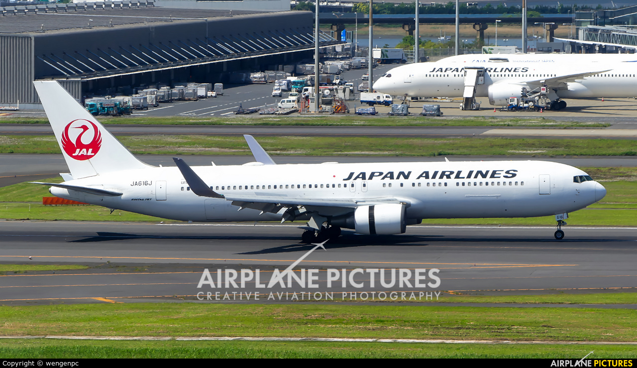 JAL - Japan Airlines JA616J aircraft at Tokyo - Haneda Intl