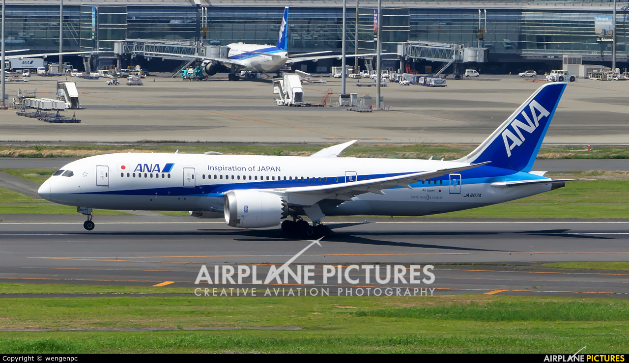 ANA - All Nippon Airways JA807A aircraft at Tokyo - Haneda Intl