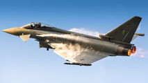 30+94 - Germany - Air Force Eurofighter Typhoon S aircraft