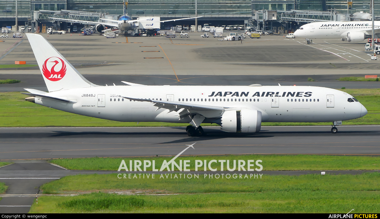 JAL - Japan Airlines JA848J aircraft at Tokyo - Haneda Intl