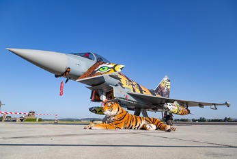 30+76 - Germany - Air Force Eurofighter Typhoon S