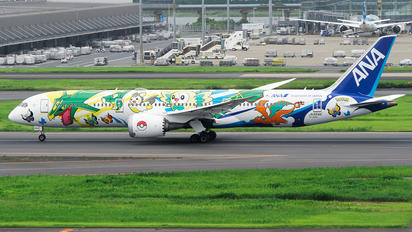 JA894A - ANA - All Nippon Airways Boeing 787-9 Dreamliner