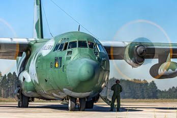2461 - Brazil - Air Force Lockheed KC-130