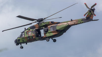 EAU - France - Army NH Industries NH-90 TTH