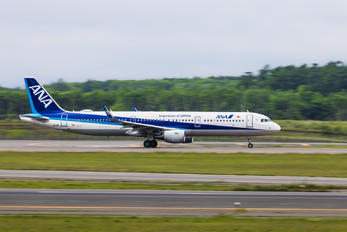 JA112A - ANA - All Nippon Airways - Airport Overview - Photography Location