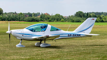 SP-SKNK - Private TL-Ultralight TL-2000 Sting S4
