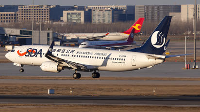 B-5548 - Shandong Airlines  Boeing 737-800