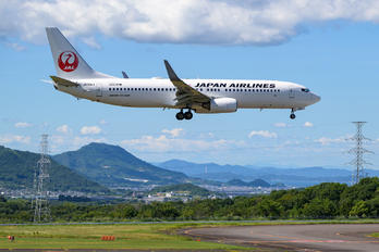 JA308J - JAL - Japan Airlines Boeing 737-800
