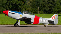 D-ESUI - Private Scalewings SW-51 Mustang aircraft