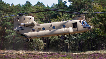 D-605 - Netherlands - Air Force Boeing CH-47F Chinook