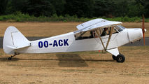 OO-ACK - Private Piper PA-19 Super Cub aircraft