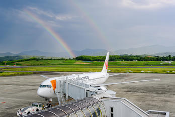 JA612J - JAL - Japan Airlines - Airport Overview - Apron