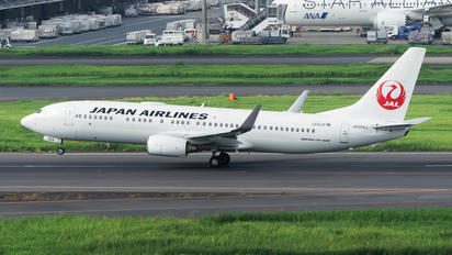 JA304J - JAL - Japan Airlines Boeing 737-800