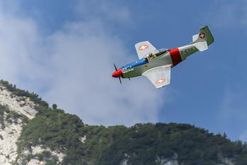 D-ESUI - Private Scalewings SW-51 Mustang