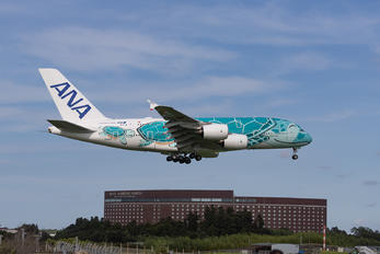 JA382A - ANA - All Nippon Airways - Airport Overview - Photography Location