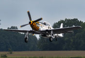 C-FPWT - Private North American P-51D Mustang aircraft
