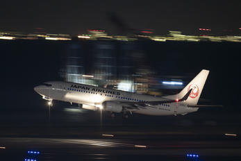 JA343J - JAL - Japan Airlines Boeing 737-800