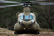 D-601 - Netherlands - Air Force Boeing CH-47F Chinook aircraft